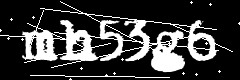 图形验证码