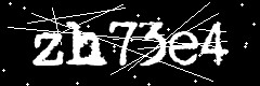 图形验证码
