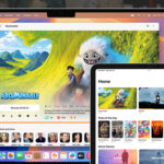 Infuse 平替推荐：3 款 Mac 最佳免费播放器 (2026版)